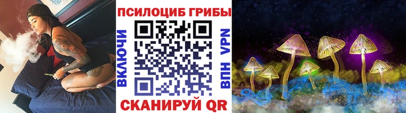 Псилоцибиновые грибы Magic Shrooms  продажа наркотиков  Петровск-Забайкальский 