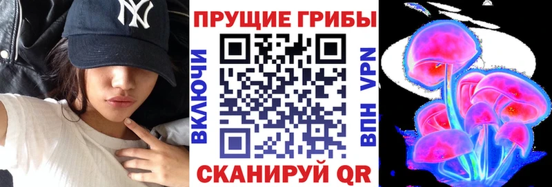 Псилоцибиновые грибы Magic Shrooms Петровск-Забайкальский